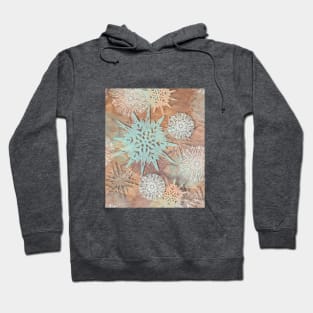 vintage snowflakes Hoodie